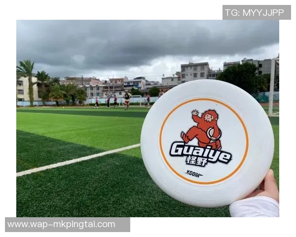 实时新闻深圳飞盘队实力飙升创下新高飞盘力量排名引发广泛关注与热议